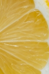 柠檬