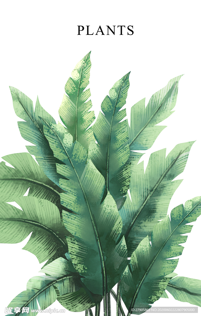 北欧绿植物现代简约手绘装饰画