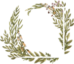 手绘花环