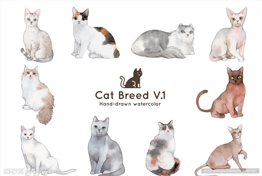 卡通猫咪