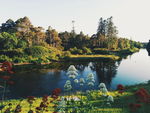风景