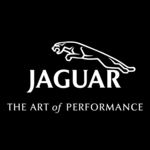 捷豹 美洲豹 JAGUAR 豹