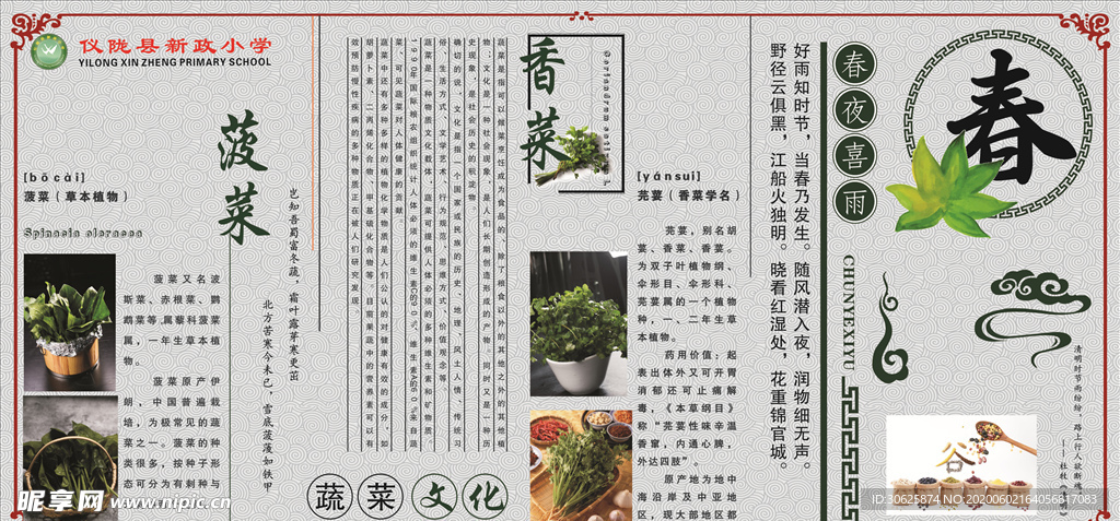 春天蔬菜简介展板