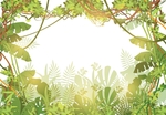 藤本植物背景