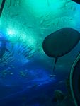 海底世界
