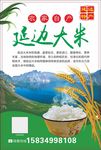 大米