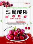 樱桃