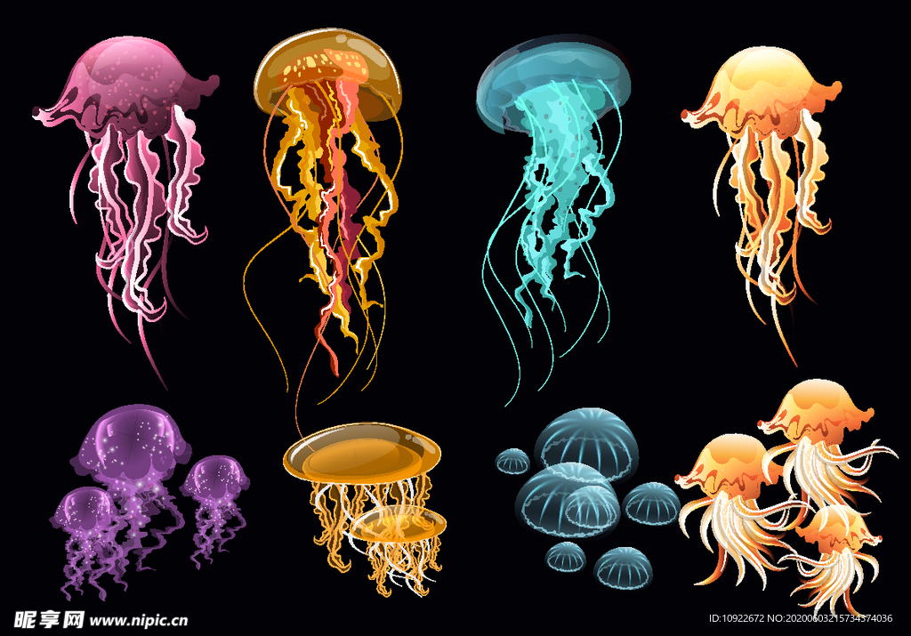 8组彩色 透明水母设计
