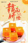 脐橙海报
