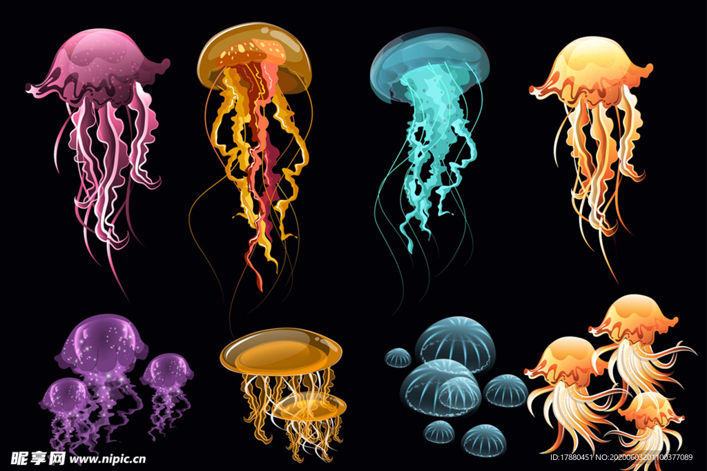 彩色透明水母