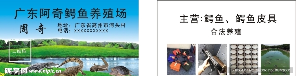 鳄鱼养殖