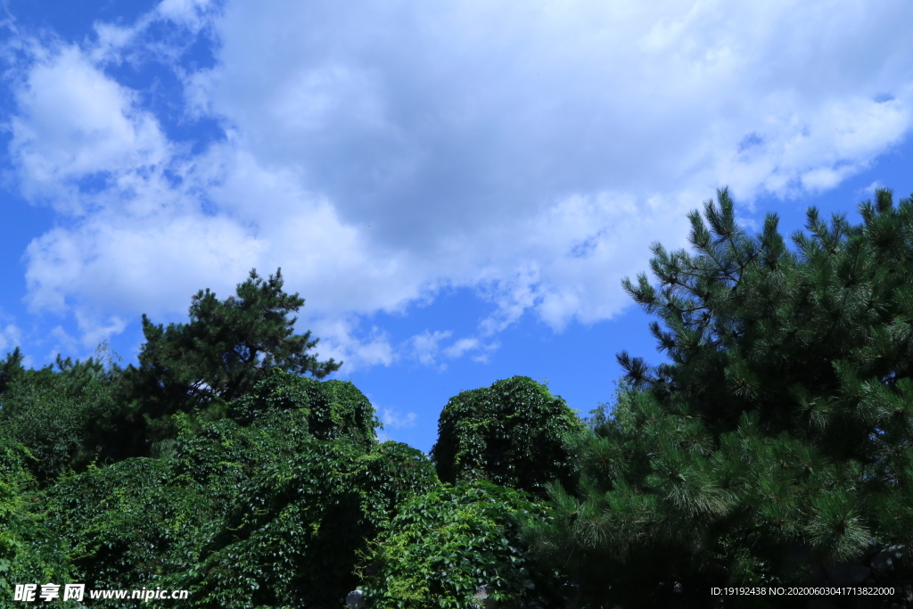 园林风景