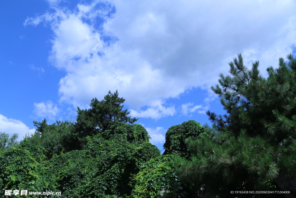 大观园风景