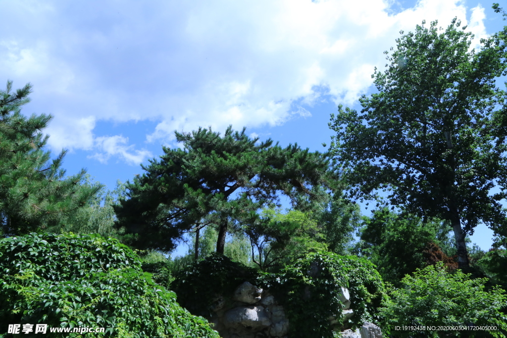 大观园风景