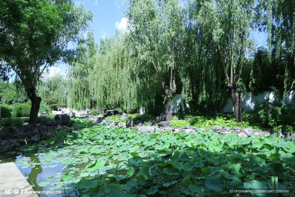 大观园风景