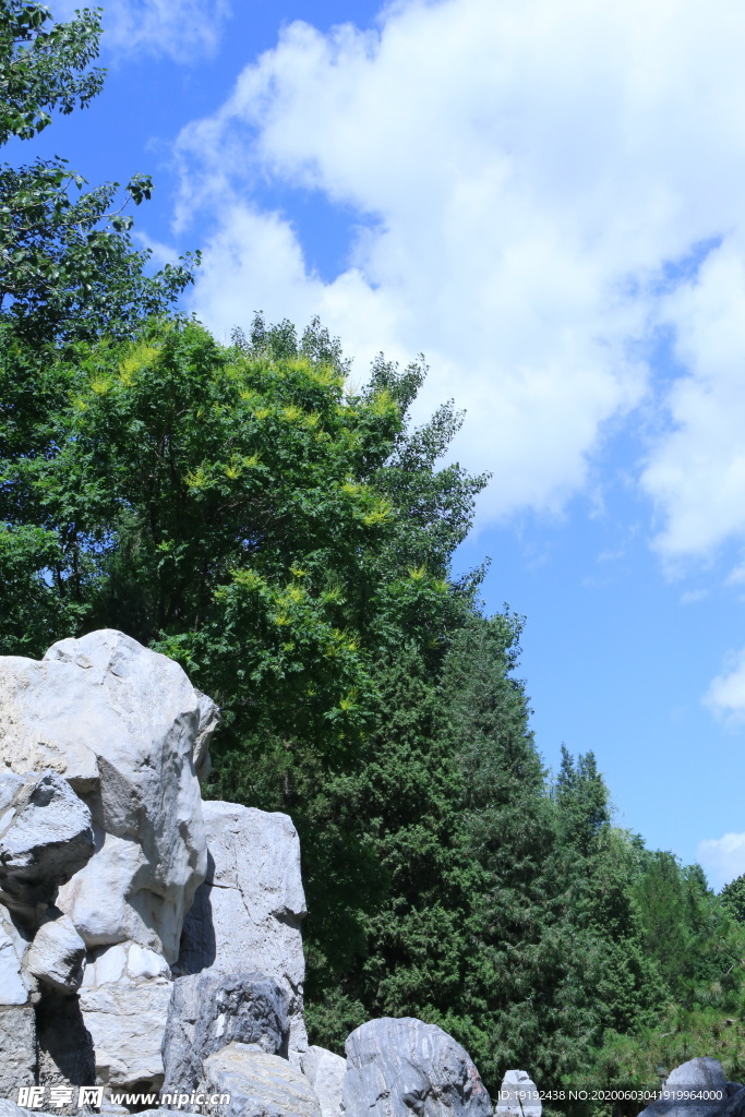 园林风景