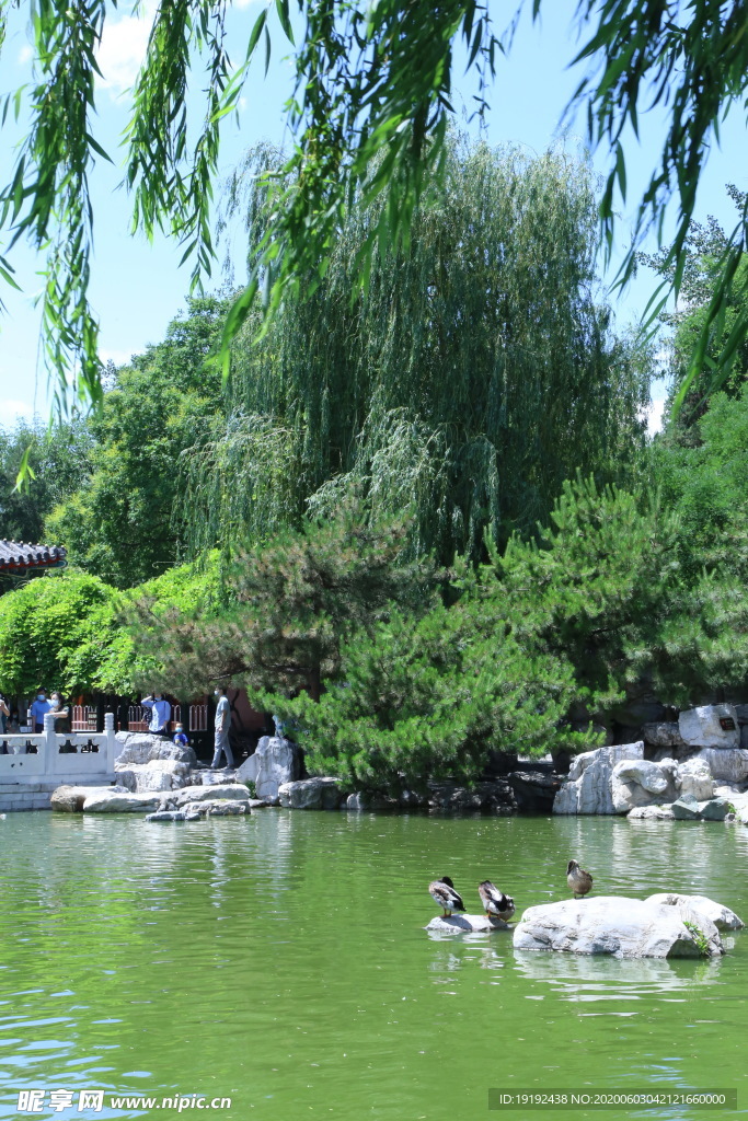 大观园风景