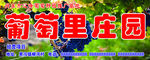 葡萄庄园