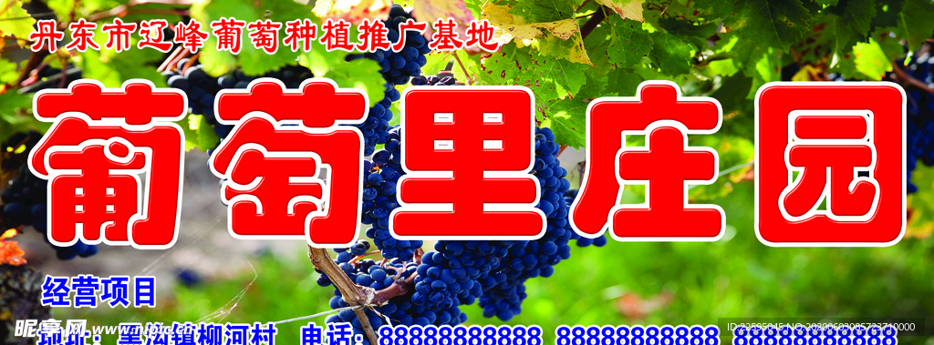 葡萄庄园