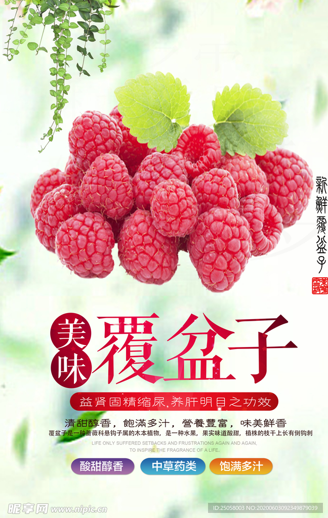 覆盆子海报