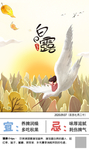 二十四节气白露