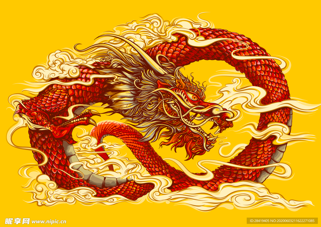 龙
