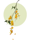 桂花