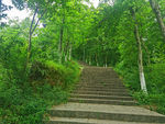 登山