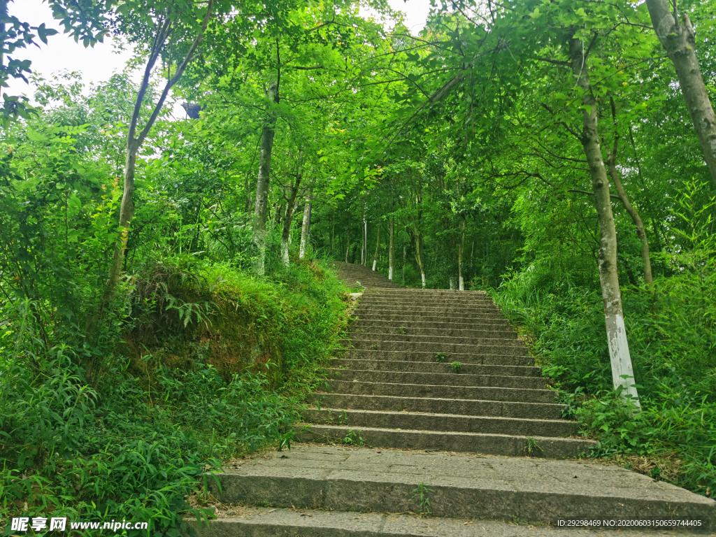 登山