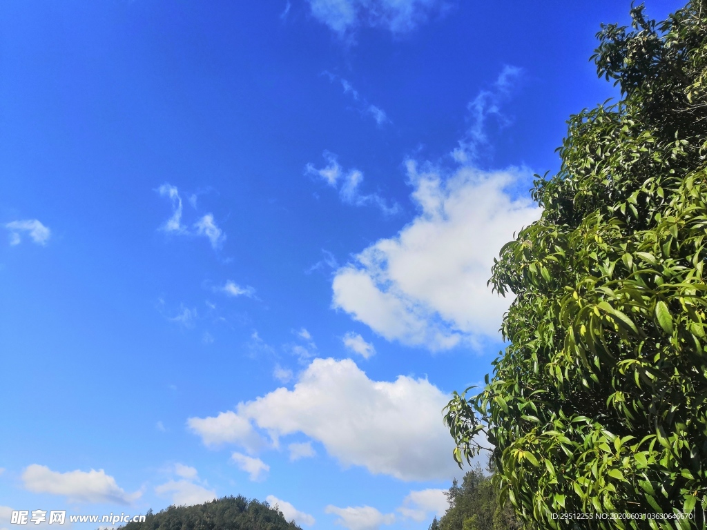 蓝天白云  农村风景