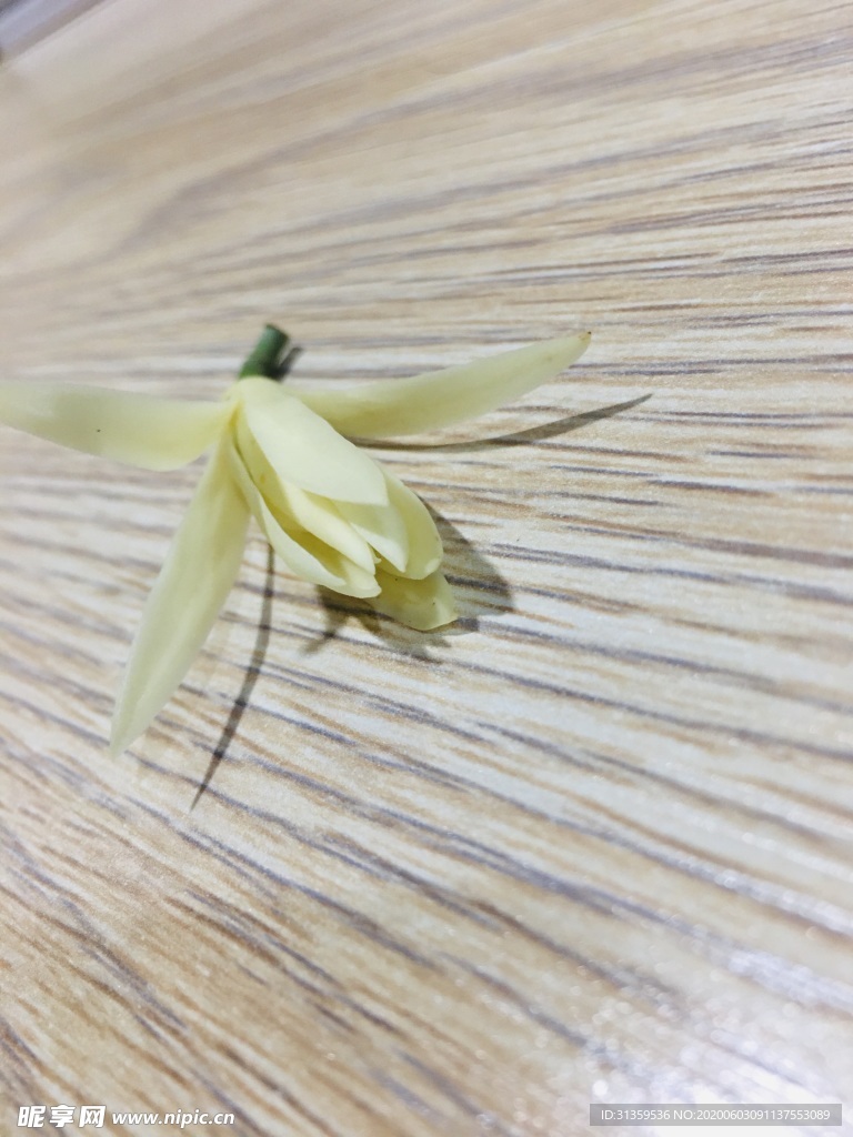 花朵
