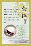 穴位按摩