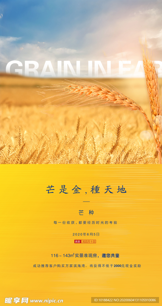 节气芒种
