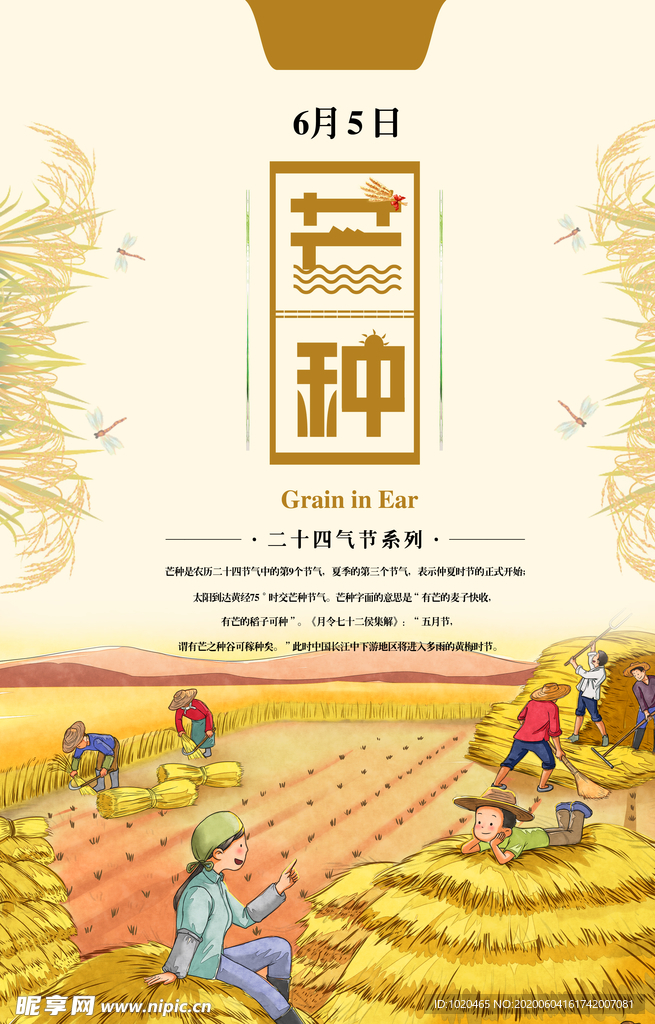 芒种海报