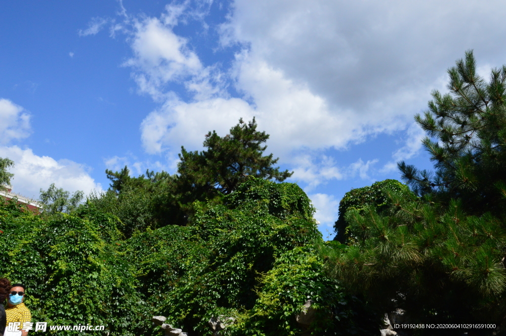 园林风景