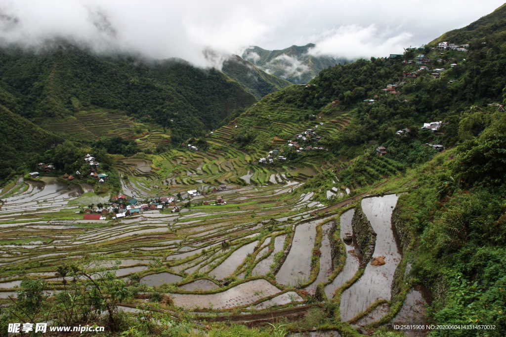 梯田唯美风景图片