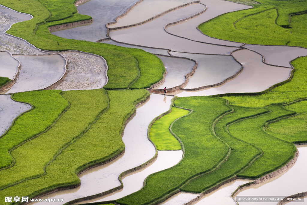 梯田唯美风景图片