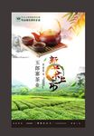 玉郎寨绿茶新鲜春茶上市
