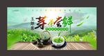 玉郎寨春芽茶尝鲜春茶上市