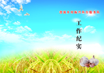 工作纪实