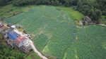 山水武宁 庐山西海