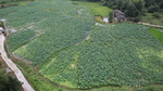 山水武宁 庐山西海