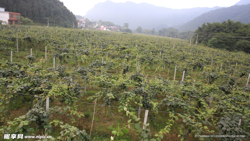 山水武宁 庐山西海