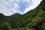 山水武宁 庐山西海