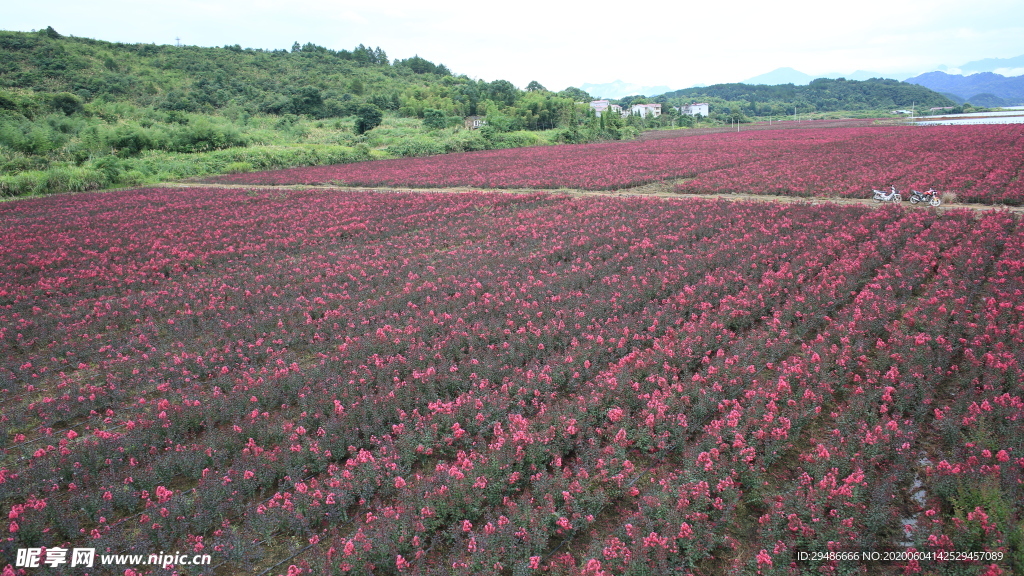 山水武宁 庐山西海