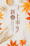 新品上市