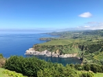 海湾悬崖森林