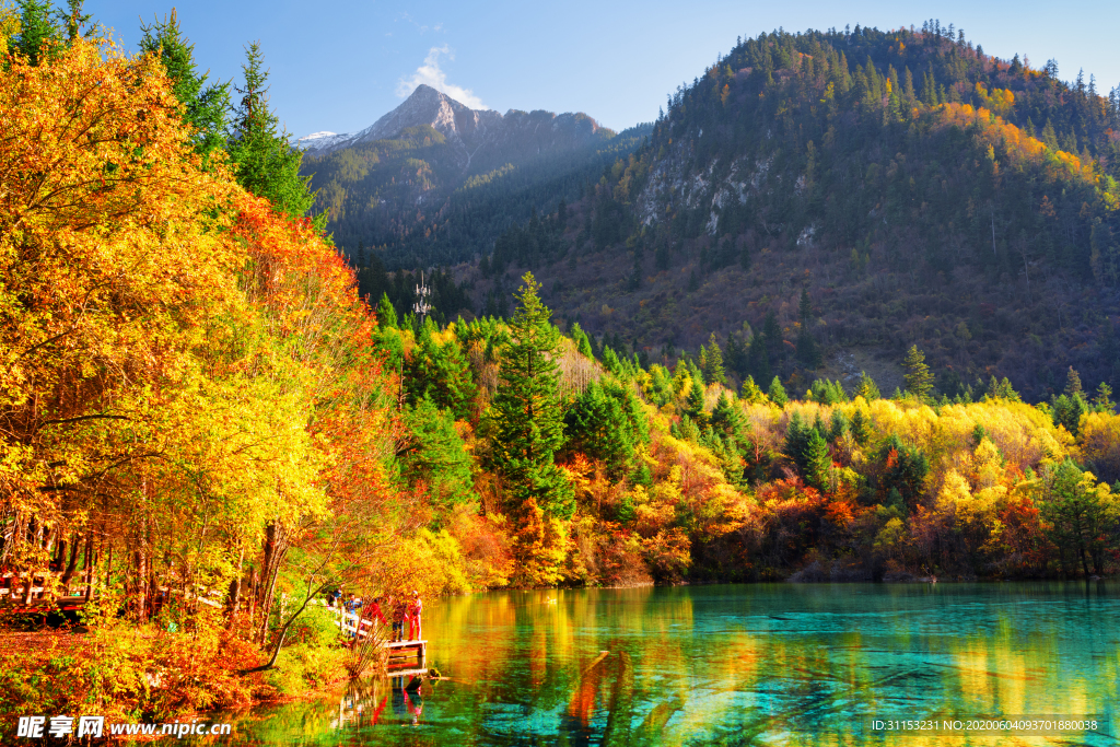 风景