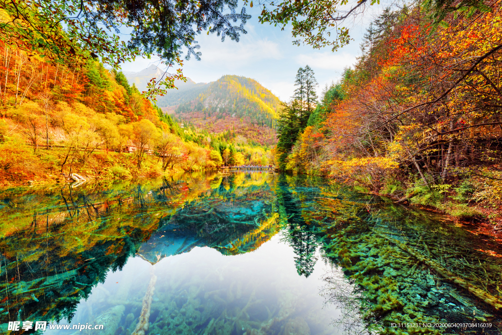 风景