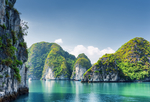 风景